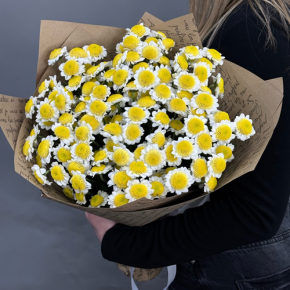 Букет "Моё солнышко" из 11 хризантем сантини  в Одинцово