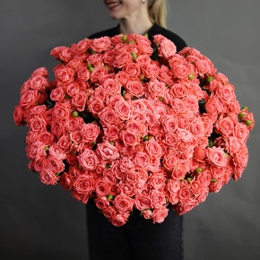 Букет из 39 коралловых кустовых роз (50 см) в Одинцово