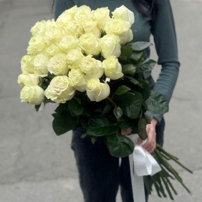 Монобукет из 25 роз Эквадор Мондиаль (80 см) в Одинцово