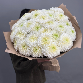 Букет из 27 хризантем Магнум в Одинцово