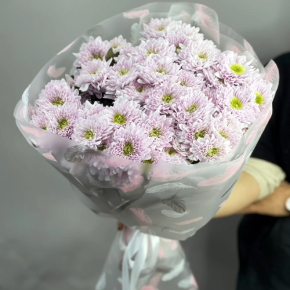 Букет "Нежный комплимент" из 9 кустовых хризантем в Одинцово