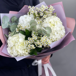 Букет "Суприм" из гортензий и хамелациума в Одинцово
