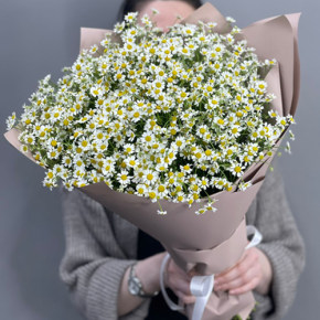 Букет из 17 полевых ромашек в Одинцово