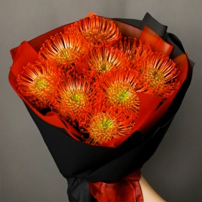 Букет из 9 лейко в Одинцово