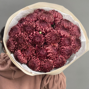 Букет 21 шоколадной хризантемы Бигоуди в Одинцово