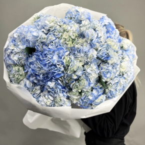 Букет из 23 синих гортензий в Одинцово