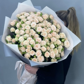 Букет из 25 кремовых кустовых роз (70 см) в Одинцово