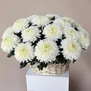 Композиция в корзине из 25 хризантем Магнум в Одинцово