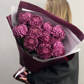 Букет "Изобилие" из 11 винных хризантем Бигоуди в Одинцово