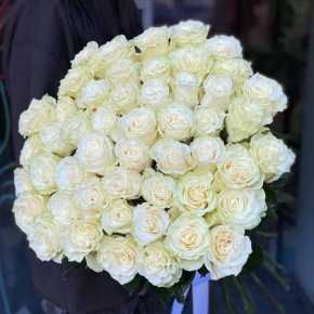 Букет из 51 розы Эквадор Мондиаль под ленту (80 см) в Одинцово