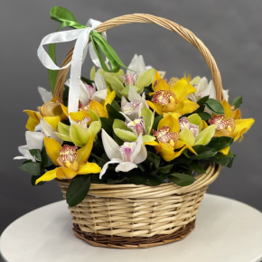 Композиция в корзине из 25 орхидей микс в Одинцово