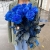 15 синих LUX роз Эквадор (70 см) в Одинцово 15 синих LUX роз Эквадор (70 см) в Одинцово