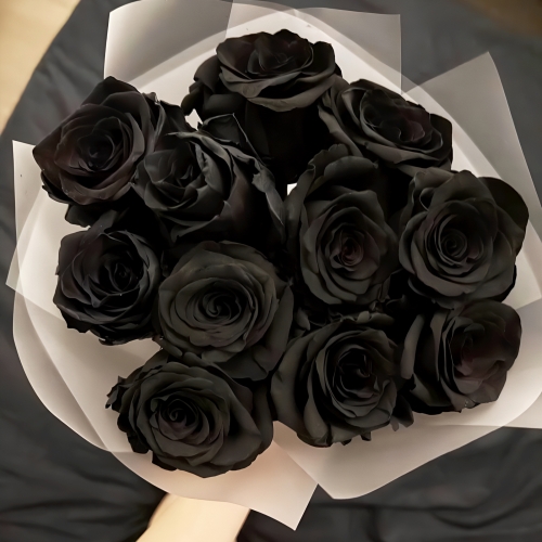 Букет "Черная королева" из 11 черных роз Эквадор (60 см) в Одинцово