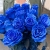 15 синих LUX роз Эквадор (70 см) в Одинцово 15 синих LUX роз Эквадор (70 см) в Одинцово