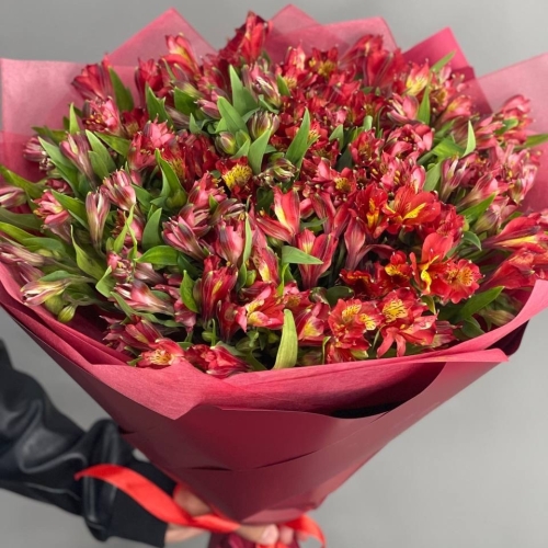 Монобукет из 25 красных альстромерий в Одинцово