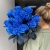 15 синих LUX роз Эквадор (70 см) в Одинцово 15 синих LUX роз Эквадор (70 см) в Одинцово