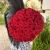 Букет 51 красной розы 50 см в Одинцово Букет 51 красной розы 50 см в Одинцово