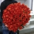 Букет 101 коралловая роза (60 см) в Одинцово Букет 101 коралловая роза (60 см) в Одинцово
