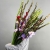Букет из 25 гладиолусов микс в Одинцово Букет из 25 гладиолусов микс в Одинцово