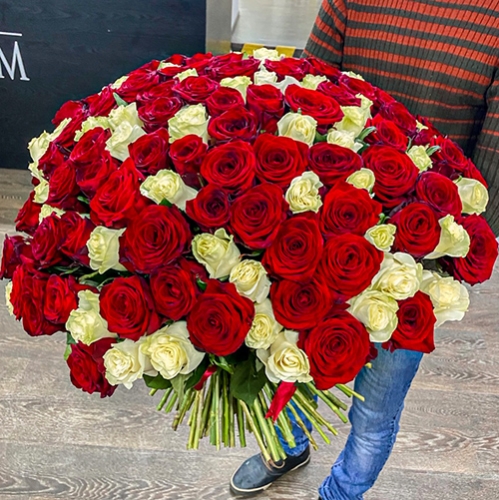 Букет 151 роза красный и белый микс (60 см) в Одинцово