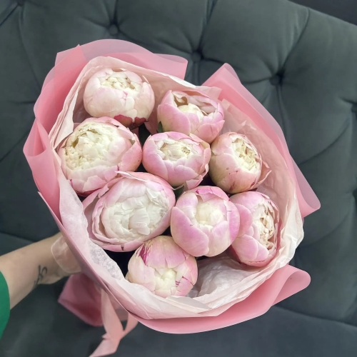 Букет из 9 нежных пионов Гардения в Одинцово