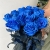 15 синих LUX роз Эквадор (70 см) в Одинцово 15 синих LUX роз Эквадор (70 см) в Одинцово