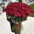 Букет из 101 красной розы (90 см) в Одинцово Букет из 101 красной розы (90 см) в Одинцово