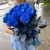 15 синих LUX роз Эквадор (70 см) в Одинцово 15 синих LUX роз Эквадор (70 см) в Одинцово
