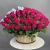 Композиция в корзине из 151 малиновой розы в Одинцово Композиция в корзине из 151 малиновой розы в Одинцово