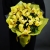 Букет из 13 лимонных орхидей в Одинцово Букет из 13 лимонных орхидей в Одинцово